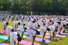 yogaday-monte-17