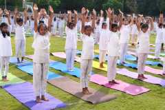 yogaday-monte-18