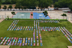 yogaday-monte-5