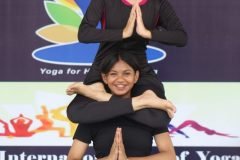 Yoga Day 2026
